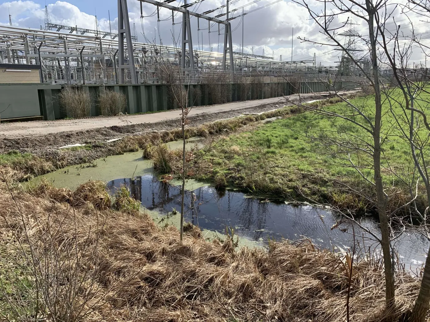 Ausgangssituation Entwässerungsgraben vor dem Umspannwerk im Marschland
