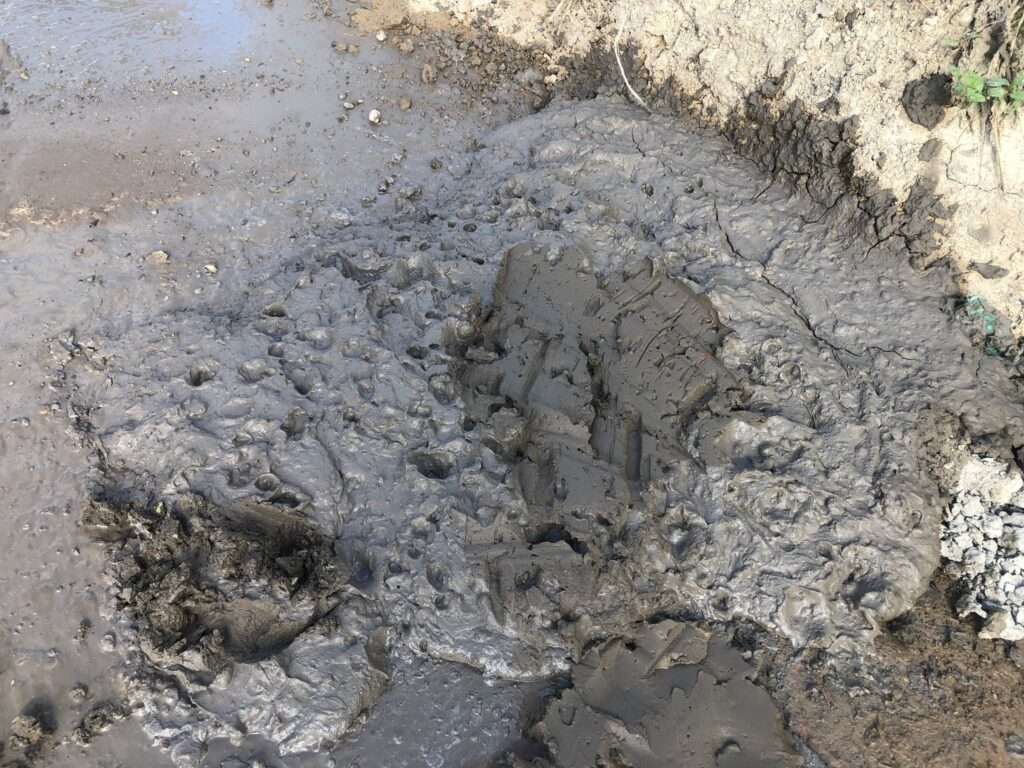 Überprüfung Rückverfestigung nach Penetrometervorgabe am Material