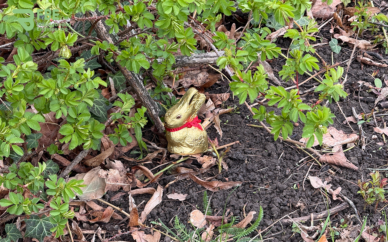 Schokoosterhase, der im Gebüsch steht.