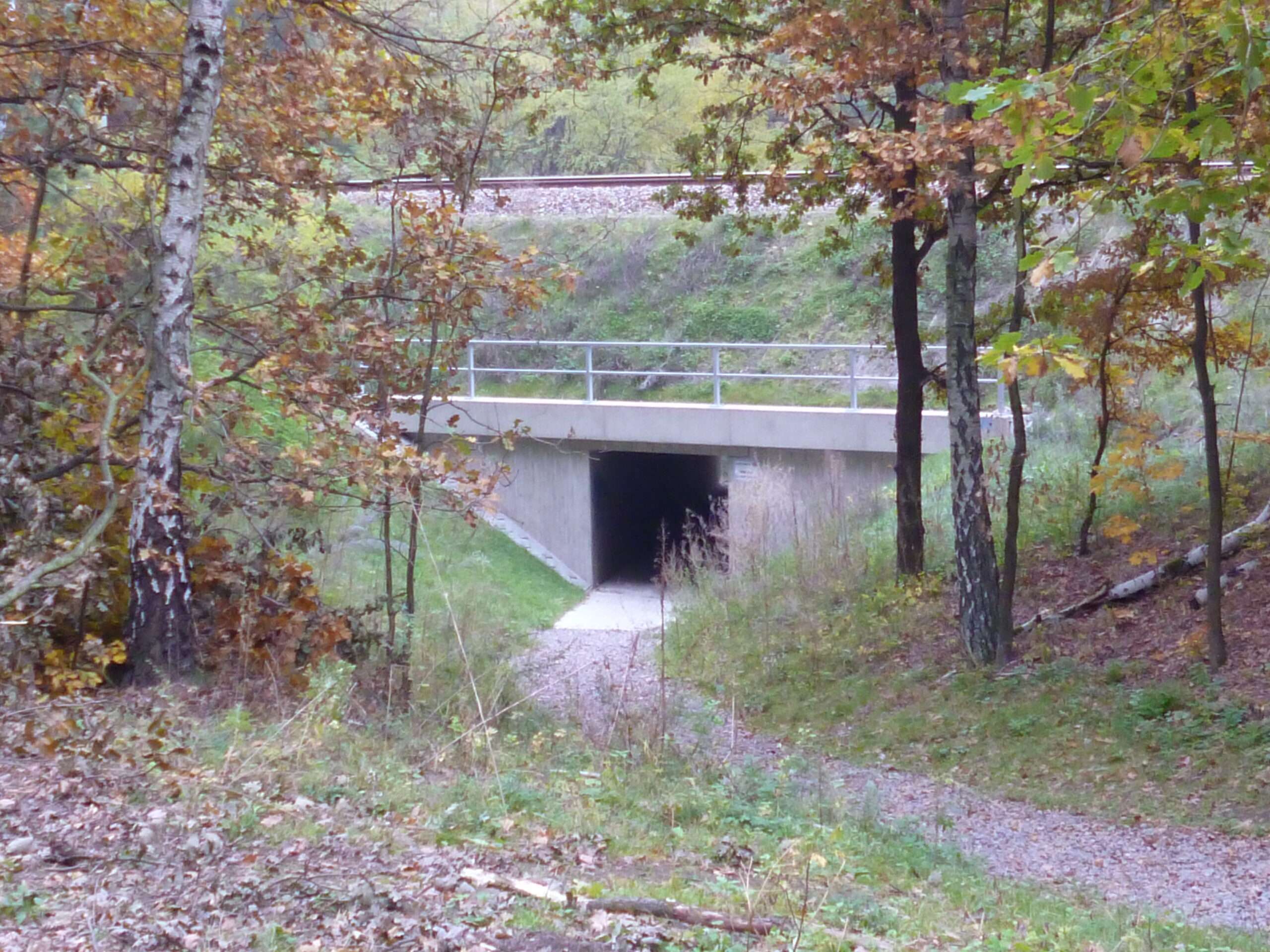 Gelände mit Tunneln und komplexen Querungen